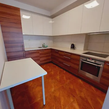New Ligonines Apartament In Center Of *