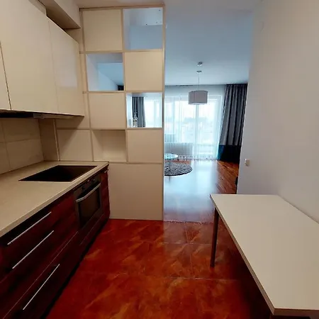 New Ligonines Apartament In Center Of